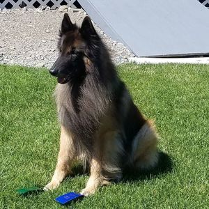 Meet your Posher, Tammy